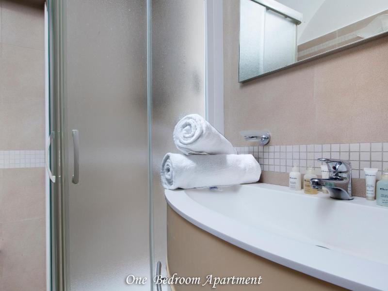 One-Bedroom Apartment image 4