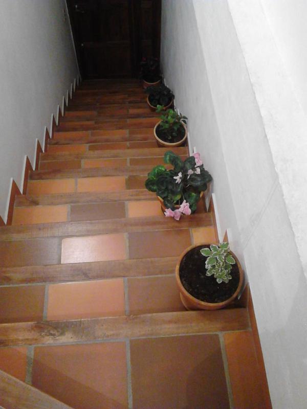 Cemandy Hostal - image 7