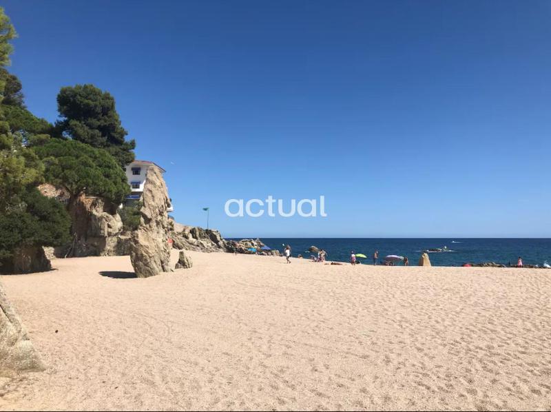 Cavall Bernat II - image 17