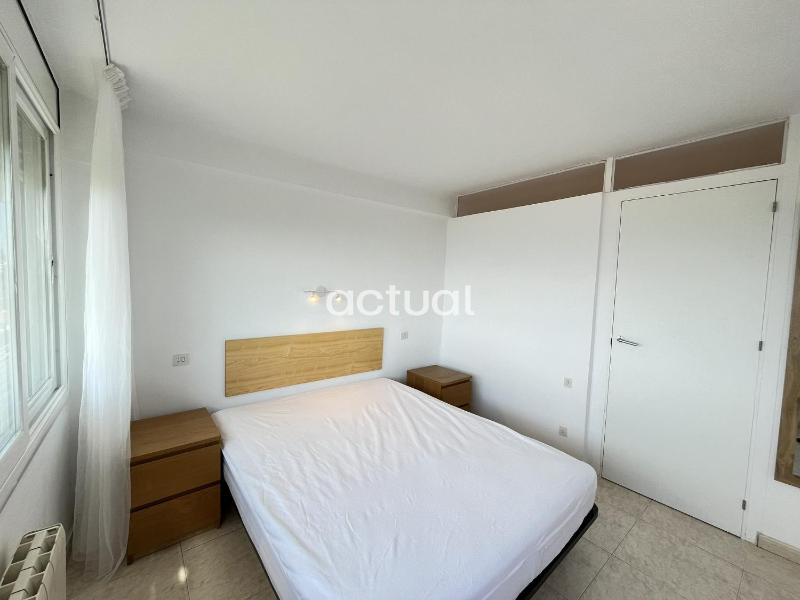 Cavall Bernat II - image 11