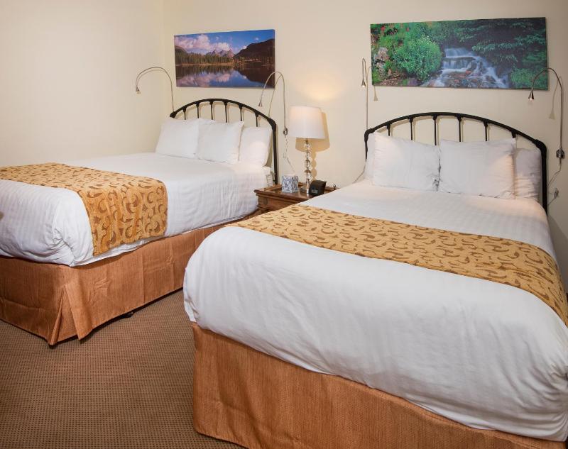 One-Bedroom Apartment image 2