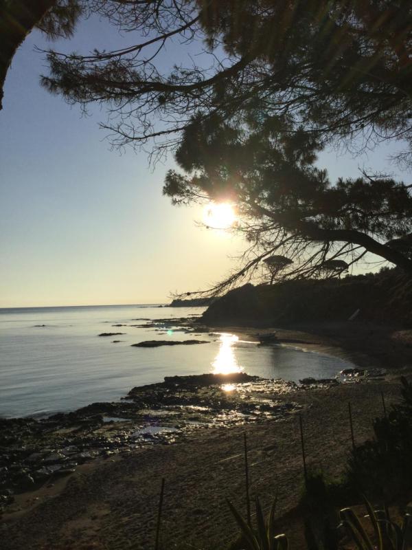 Le Terrazze sul Mare - Capo Aranciotto Beach - image 11