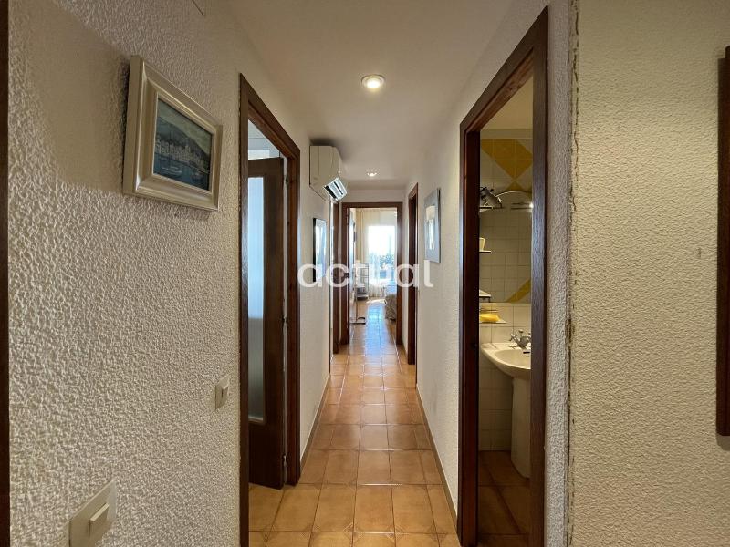 Tamarius B 6 - image 8