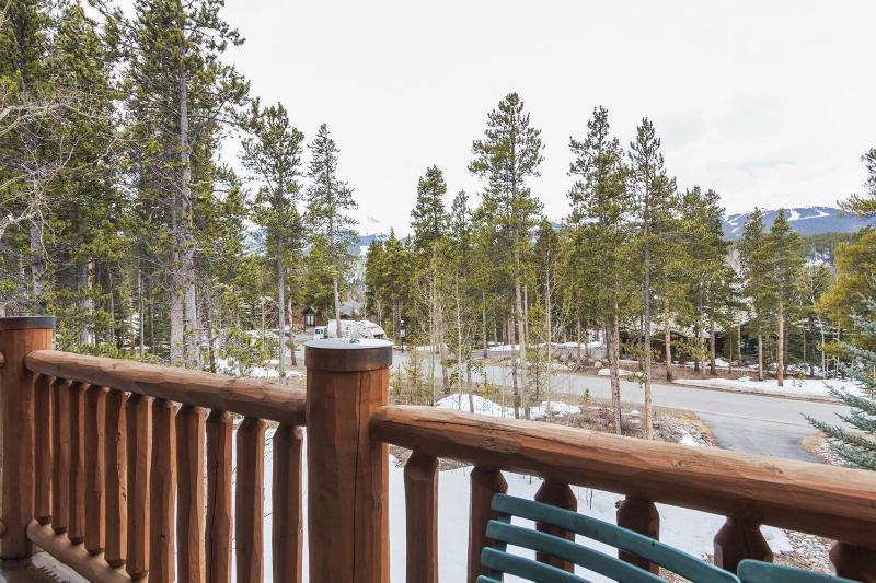 Chateau at Dyer Trail - image 41