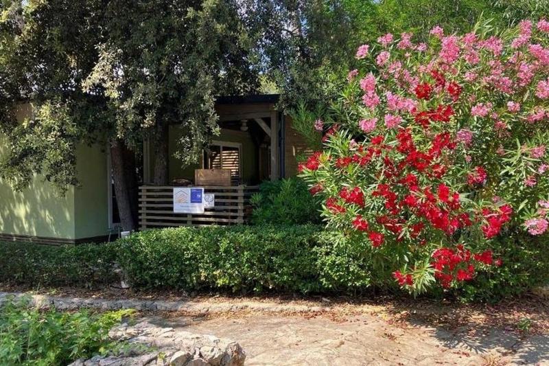 Apartments by the sea Biograd na Moru Biograd - 25398 - image 7