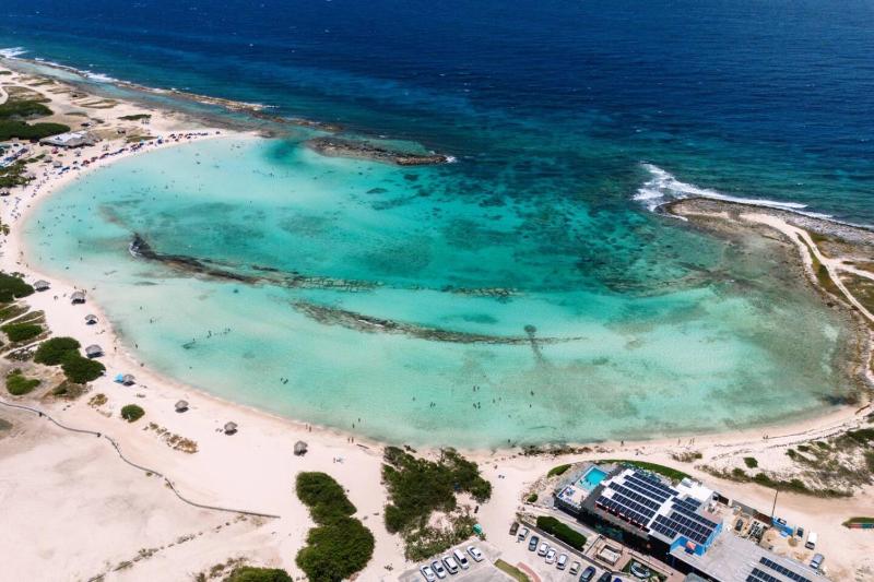 Ruby Villa with Rooftop by Signature Stays Aruba - image 6