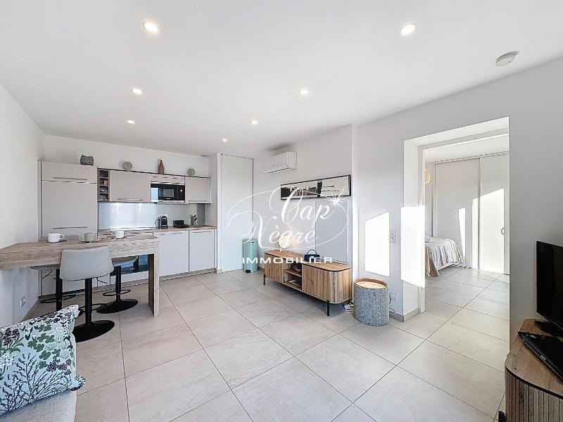 appart t2 pour 3 pers vue mer a aiguebelle - image 13