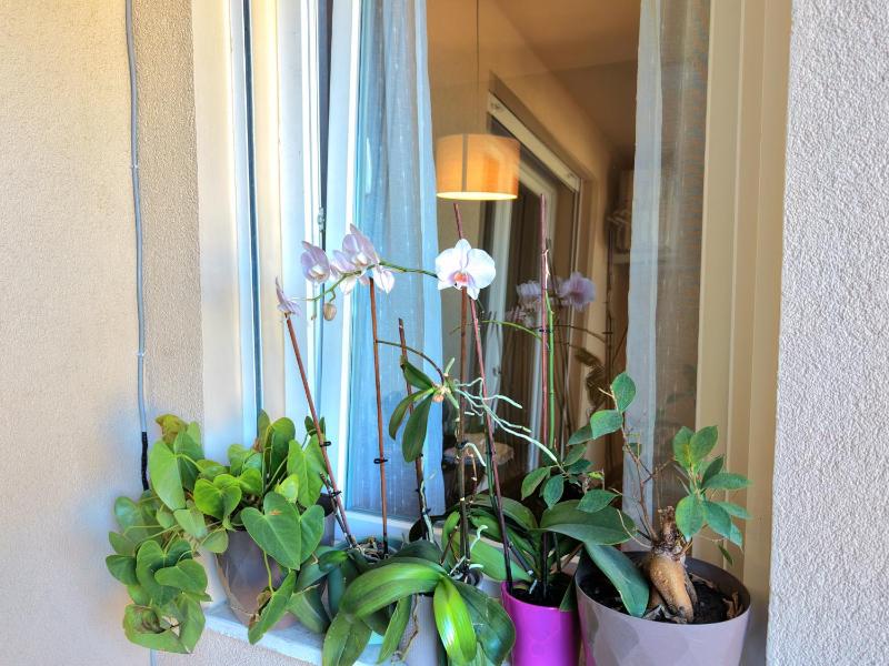 Luce Apartment - image 6