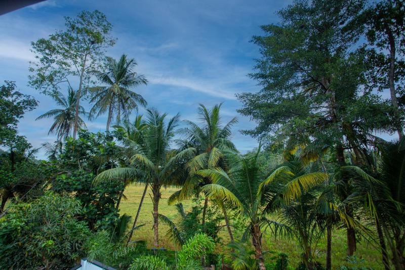 Palms shede Villa - image 30
