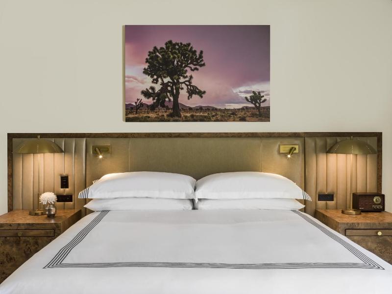 Thompson Palm Springs By Hyatt - image 37
