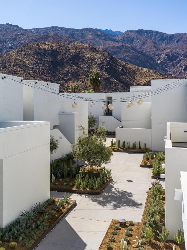 Thompson Palm Springs By Hyatt - image 33
