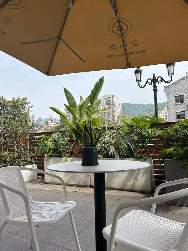 Blossom Manoir Chongqing Kaibu Xunji - image 27