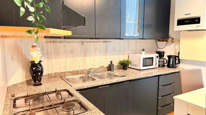 Heart of Bucharest - 2BR Apt on Calea Victoriei - image 14