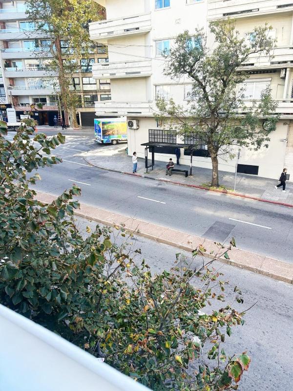 Estudio moderno la mejor ubicación en Montevideo - image 15
