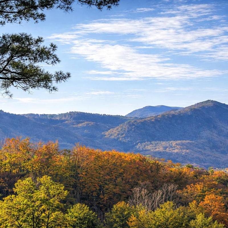 Private Smoky Mountain Cabin with Hot Tub and Views Minutes to Dollywood and Gatlinburg - image 1