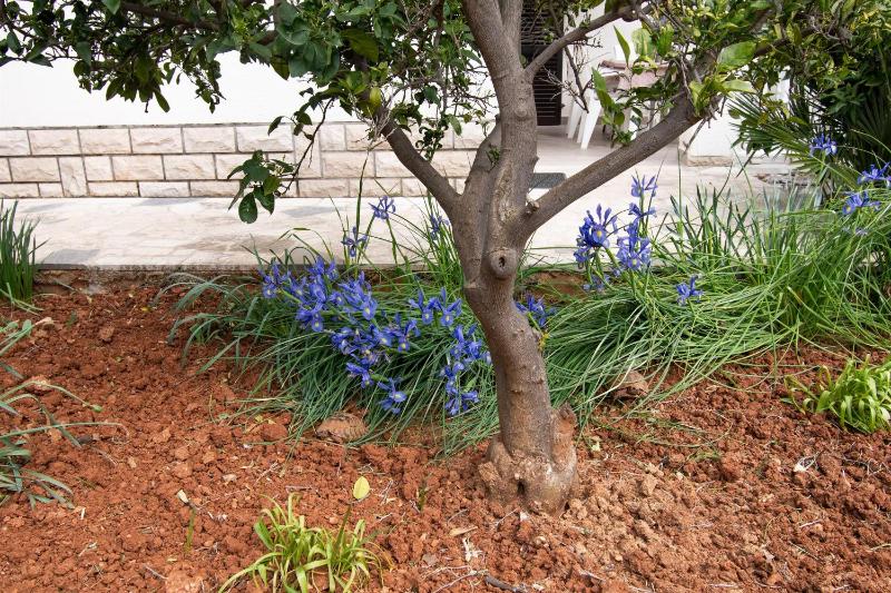 Apartments Tonia - image 19
