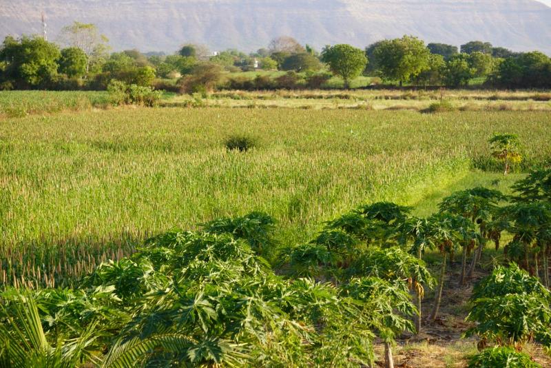 VERULAI RETREAT HOMESTAY  I  NEAR ELLORA CAVES AND GRISHNESHWAR TEMPLE I CLEAN AND PEACEFUL STAY - image 12