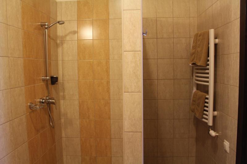One-Bedroom Apartment image 4