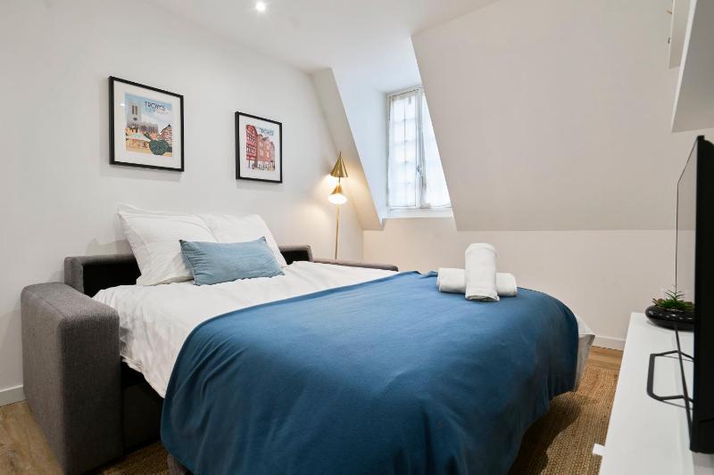 Le Champenois - Appartement 6 pers centre - image 7