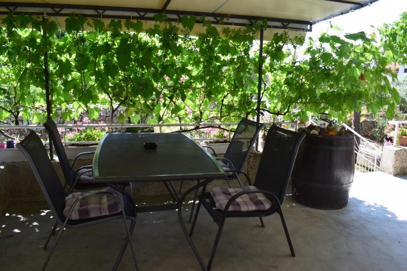 Apartment Grapes - image 17