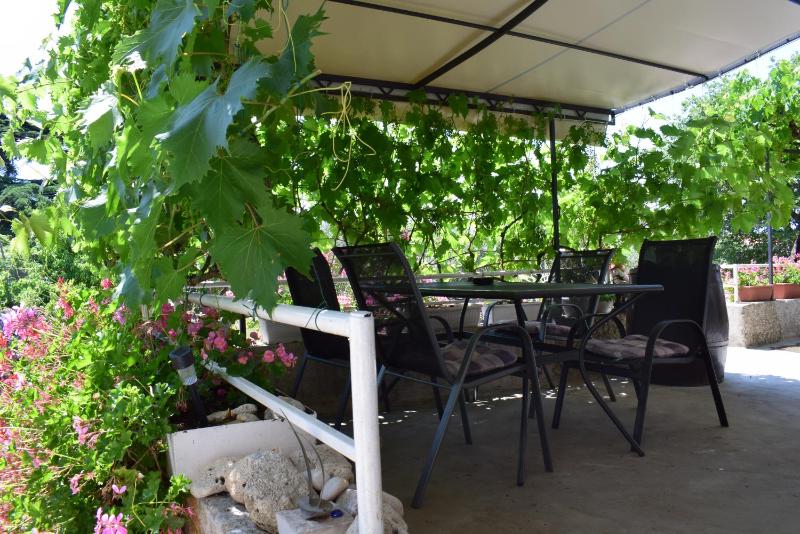 Apartment Grapes - image 14