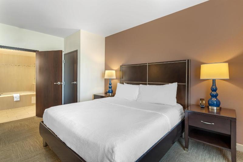 Hilton Garden Inn Houston Nw/America Plaza - image 44