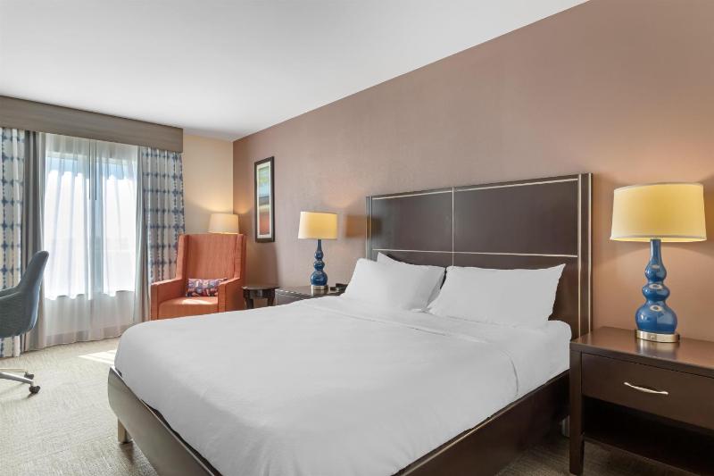 Hilton Garden Inn Houston Nw/America Plaza - image 21