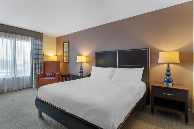 Hilton Garden Inn Houston Nw/America Plaza - image 49