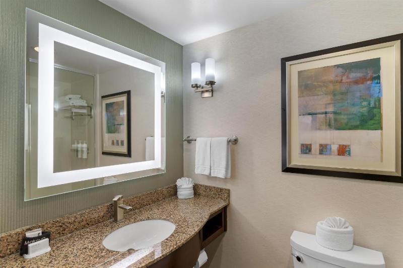 Hilton Garden Inn Houston Nw/America Plaza - image 14