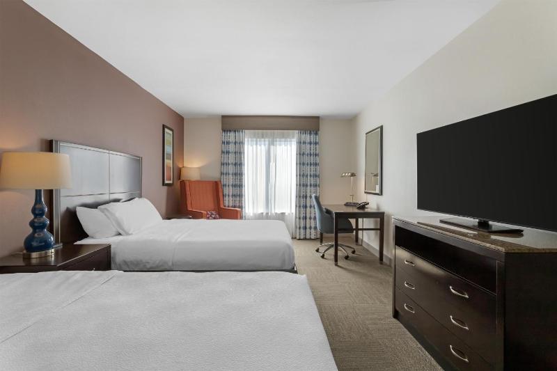 Hilton Garden Inn Houston Nw/America Plaza - image 26