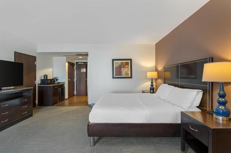 Hilton Garden Inn Houston Nw/America Plaza - image 45