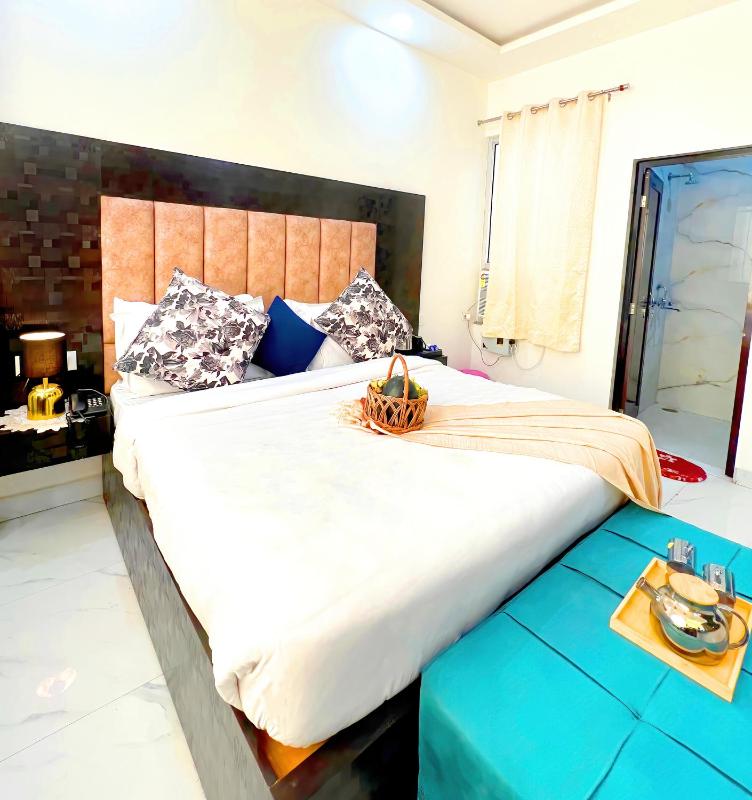 Asha Heritage Hotel & Restro - image 29