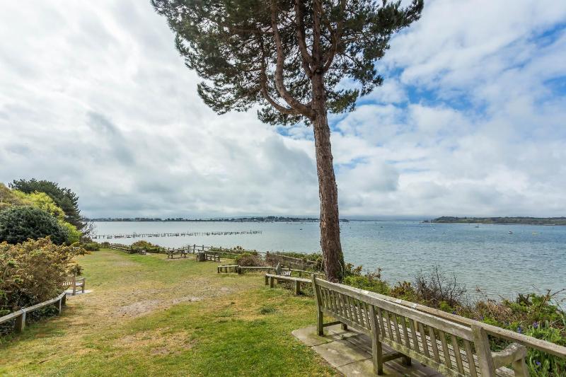 Take Your Time - Woodland Walk Moments from Alum Chine Beach - image 24