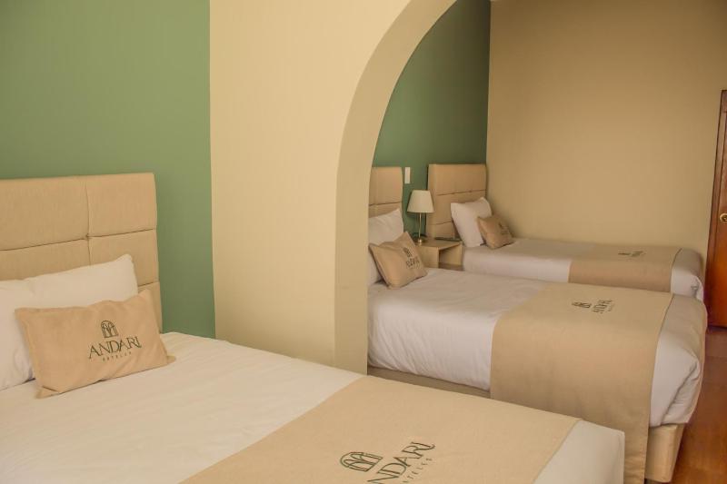 Hotel Anddari - image 6