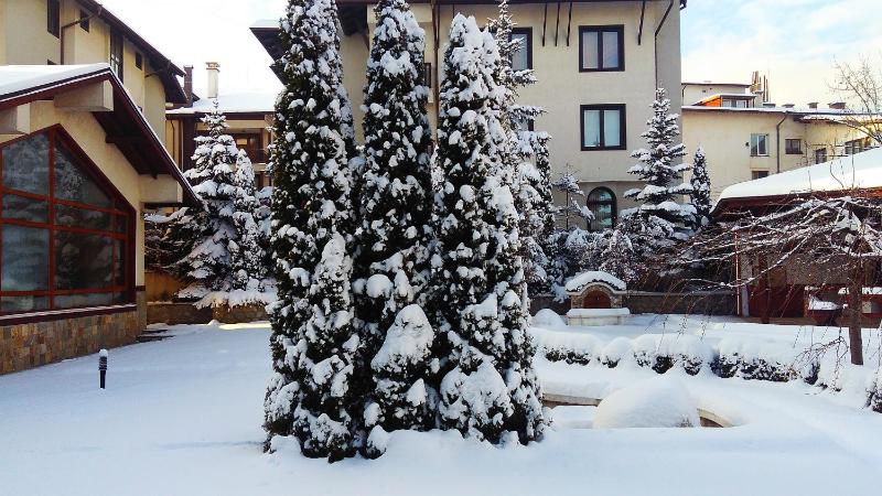 Evelina Palace Hotel - image 16