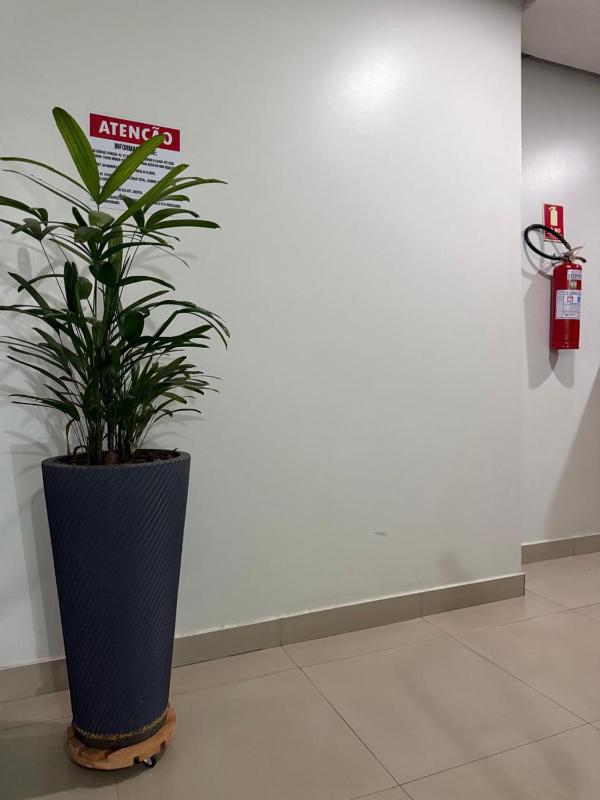 Hotel 44 Oliveira - image 31