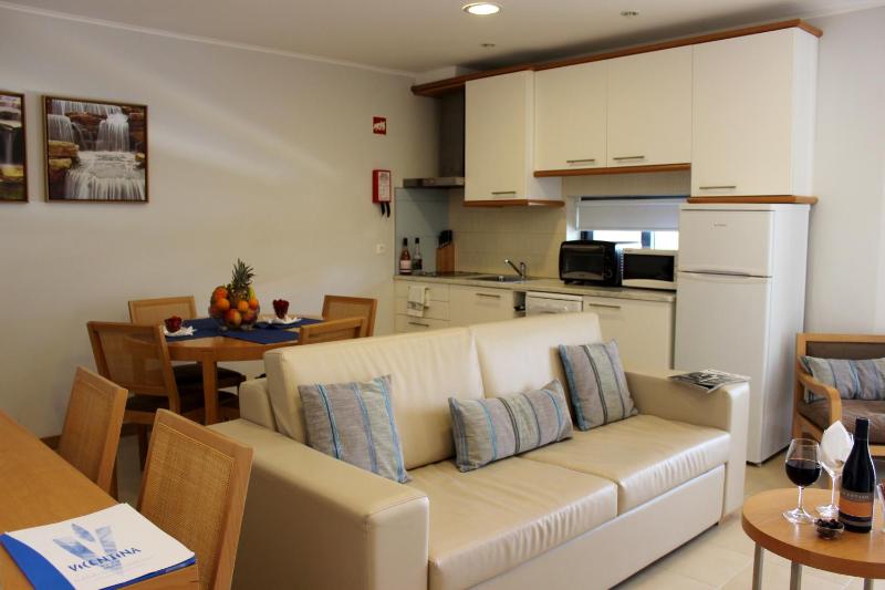 One-Bedroom Apartment image 2