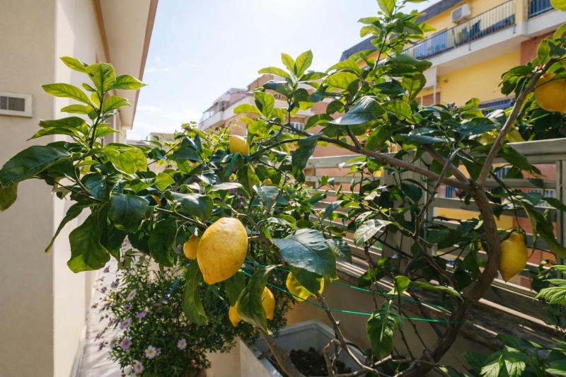 Elegantis Terrazze al Vaticano - Your Chic Retreat in Central Rome - image 4