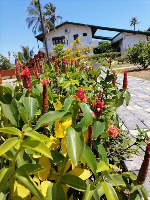 The Lark Resort induruwa - image 39