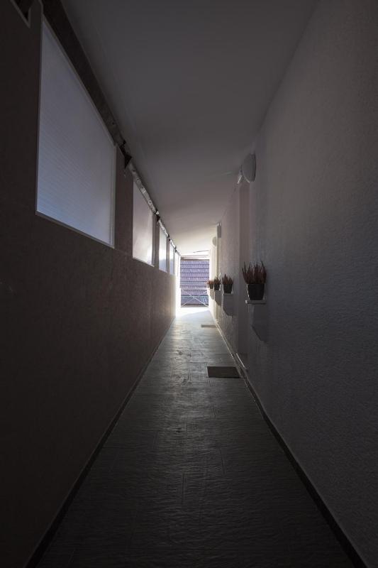 Apartments SHISHKA - image 4