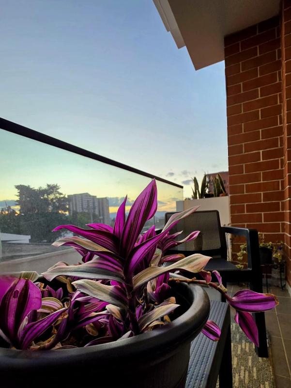 Modern and private room - exclusive zone Z15 Kiintea - image 9