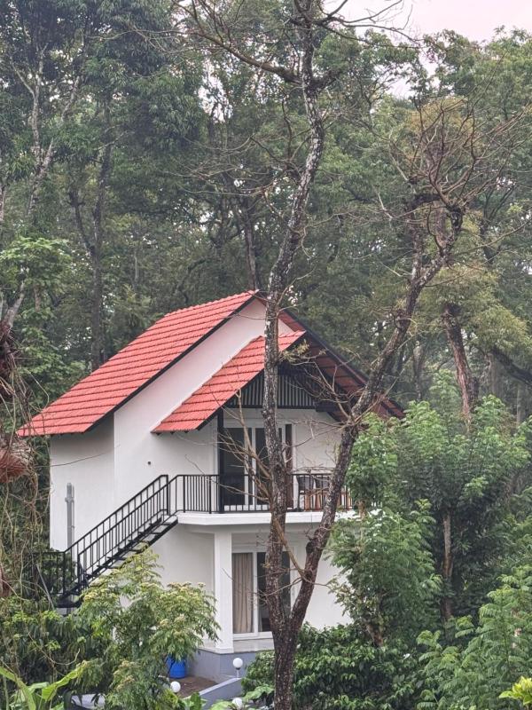 Greenhouse Homestay - image 21