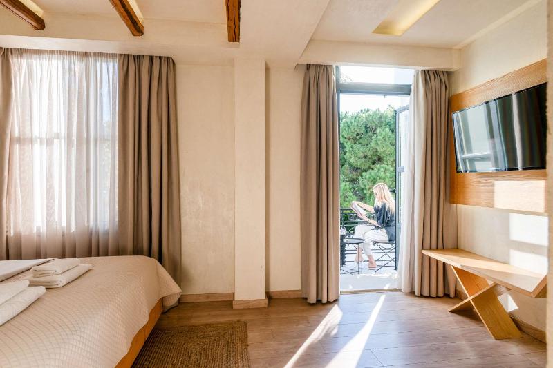 Panellinion Luxury Rooms - image 45