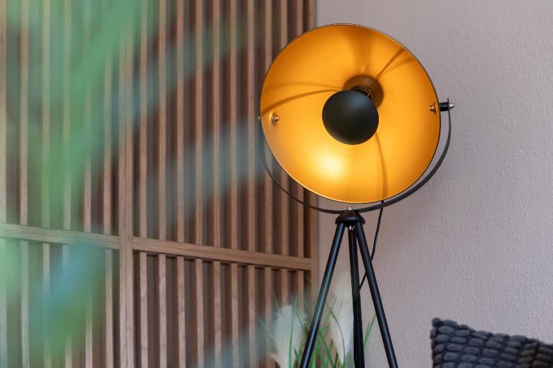 Saltwater Studio - image 10