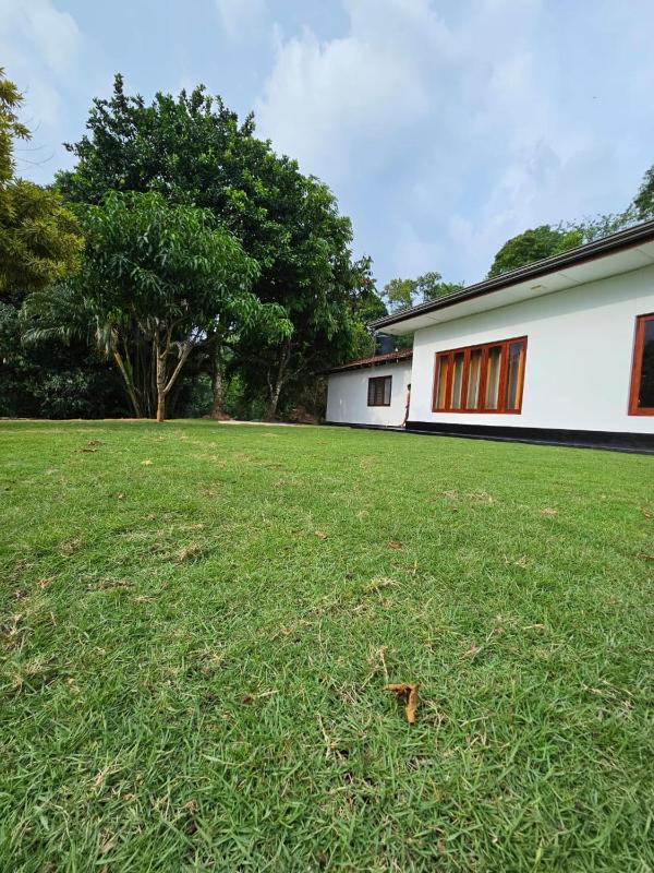Alpha bungalow - image 5