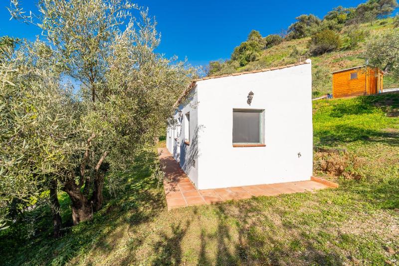 Cubo's Casa Los Pinos High Privacy Pool - image 28