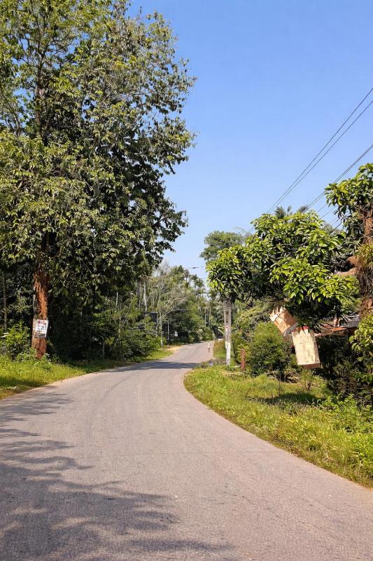 Casa Horizon I 3 BHK By The Forest - image 5