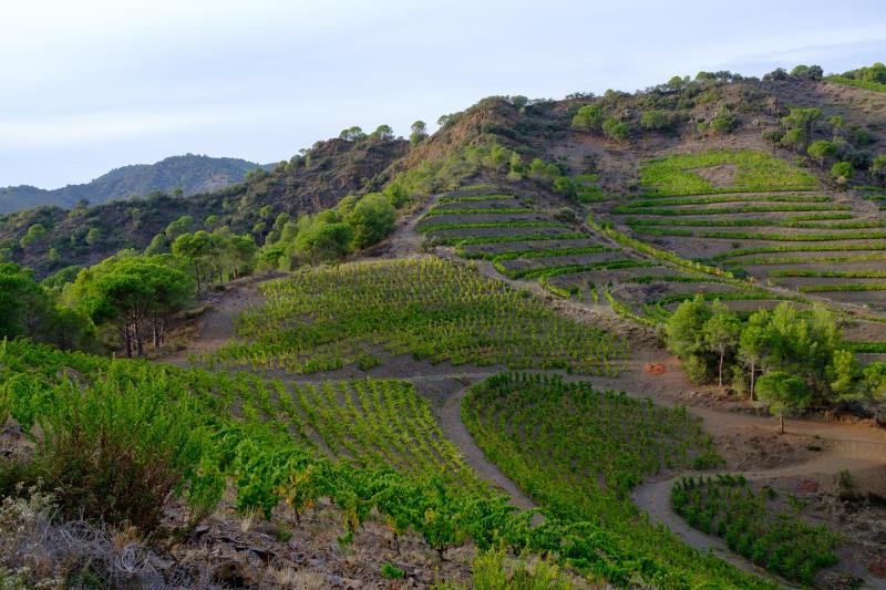 L'Hostatgeria del Celler - image 26