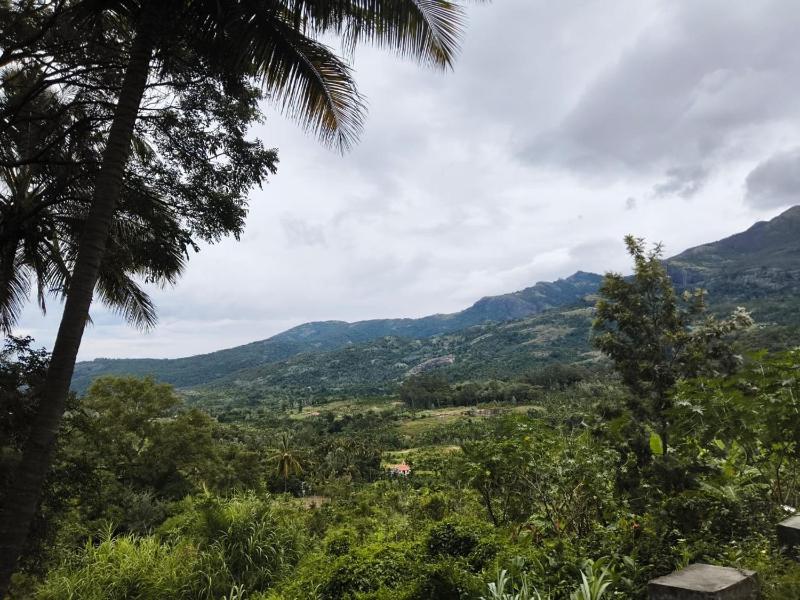 Paalm view premium resort - image 11