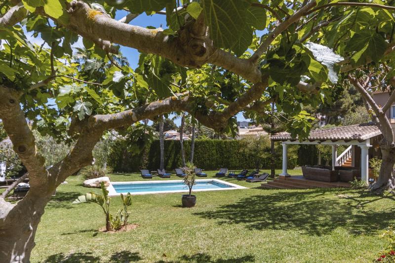 Belleza - image 16